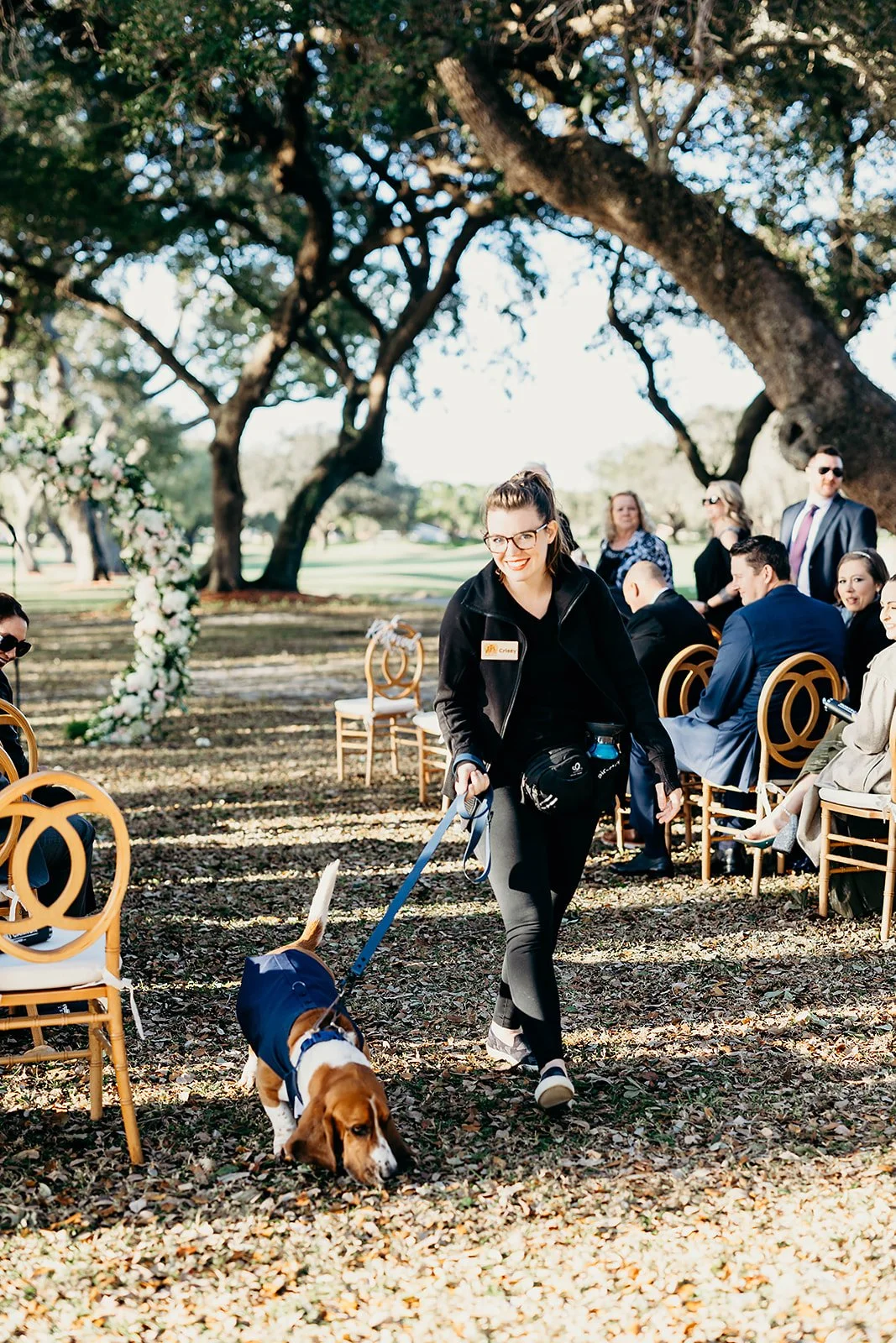 FairyTail Pet Care Launches in West Palm Beach, FL! — FairyTail Pet