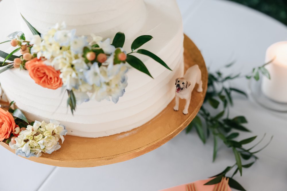 dog on wedding cake