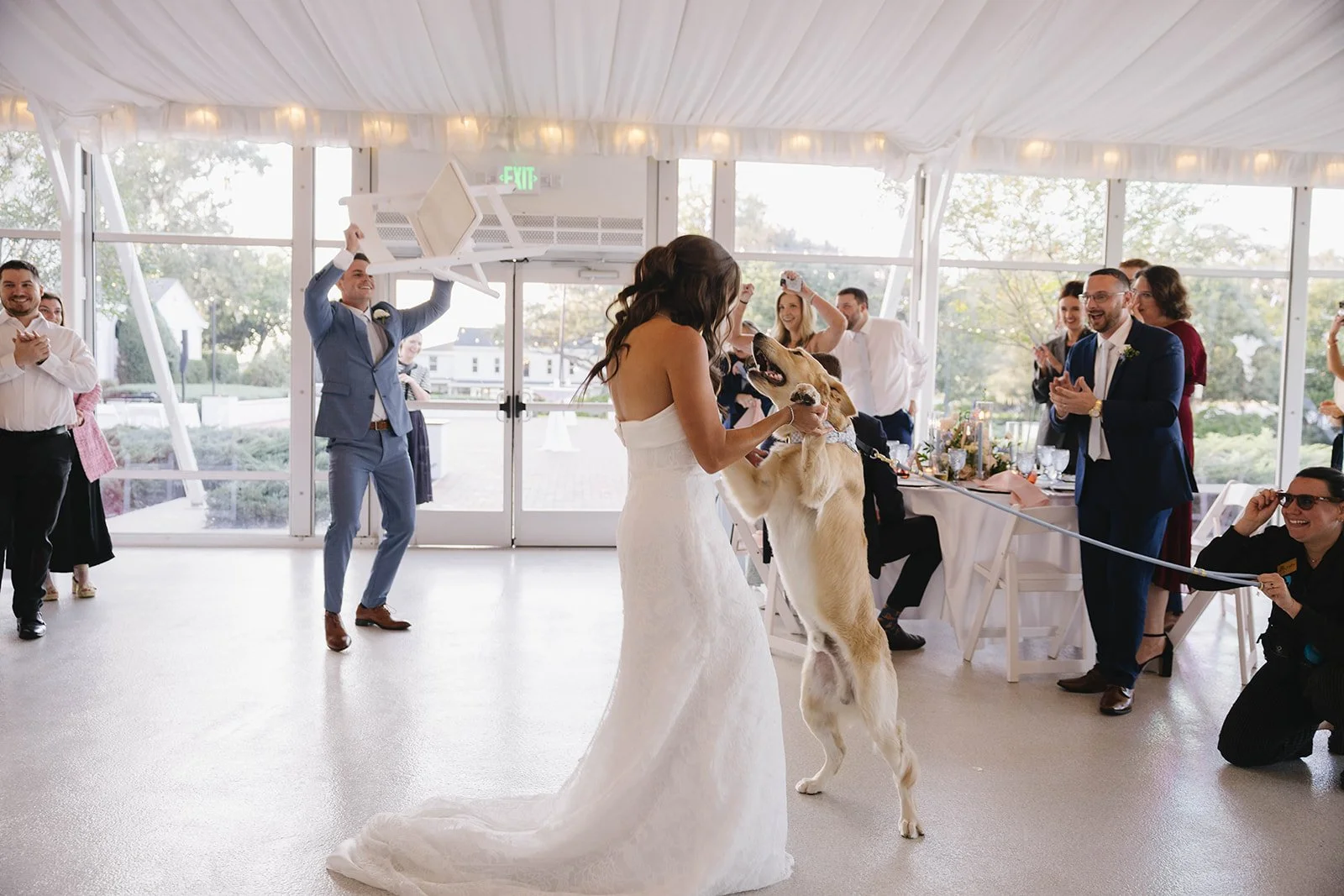 dog intro into reception