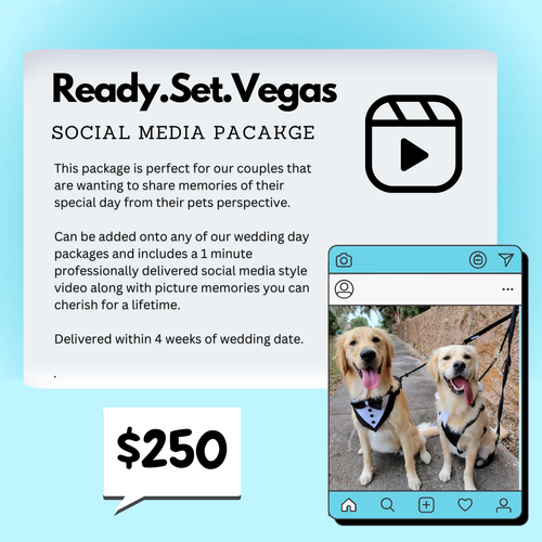 Wedding Pet Care Las Vegas — FairyTail Pet Care Wedding Day Pet Care!