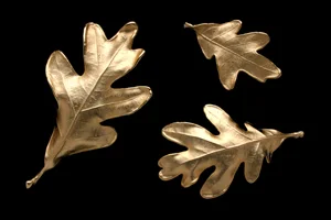 Four gold-colored oak leaves against a black background.