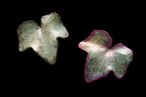 ivy leaf impression pins.jpg
