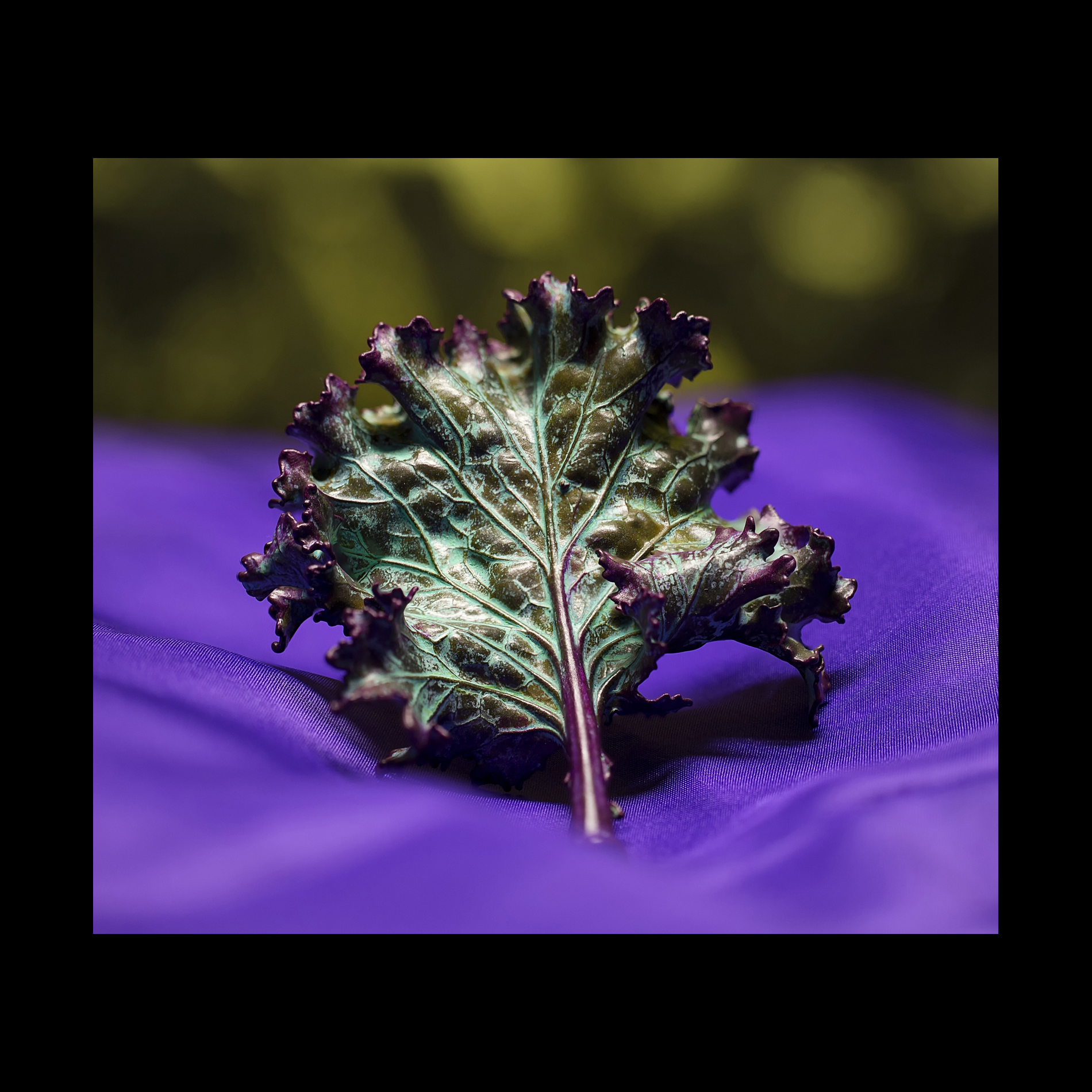 Natural Kale Leaf Pin