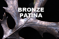 Bronze Pin Oak Web.jpg