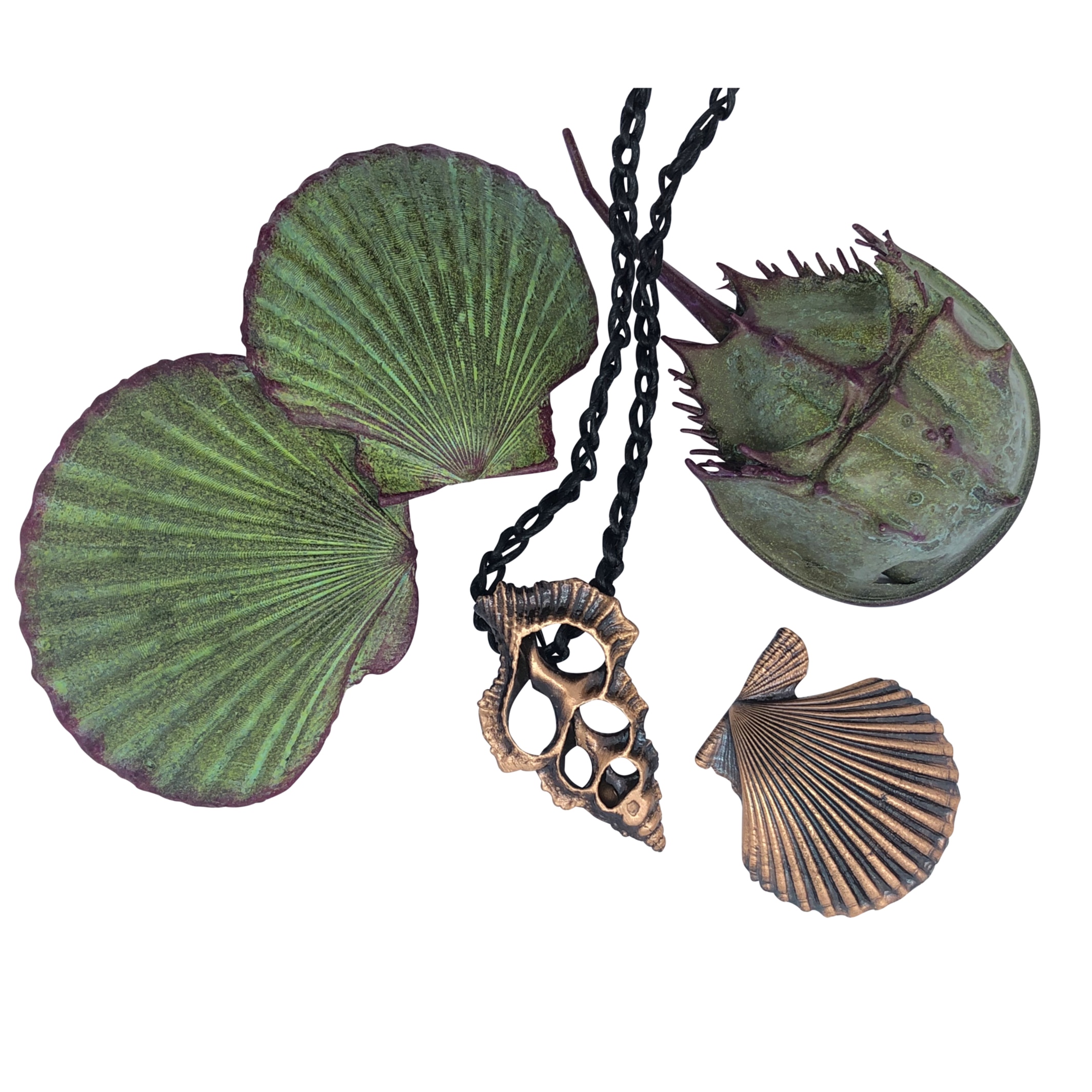 Natural Shell Jewelry