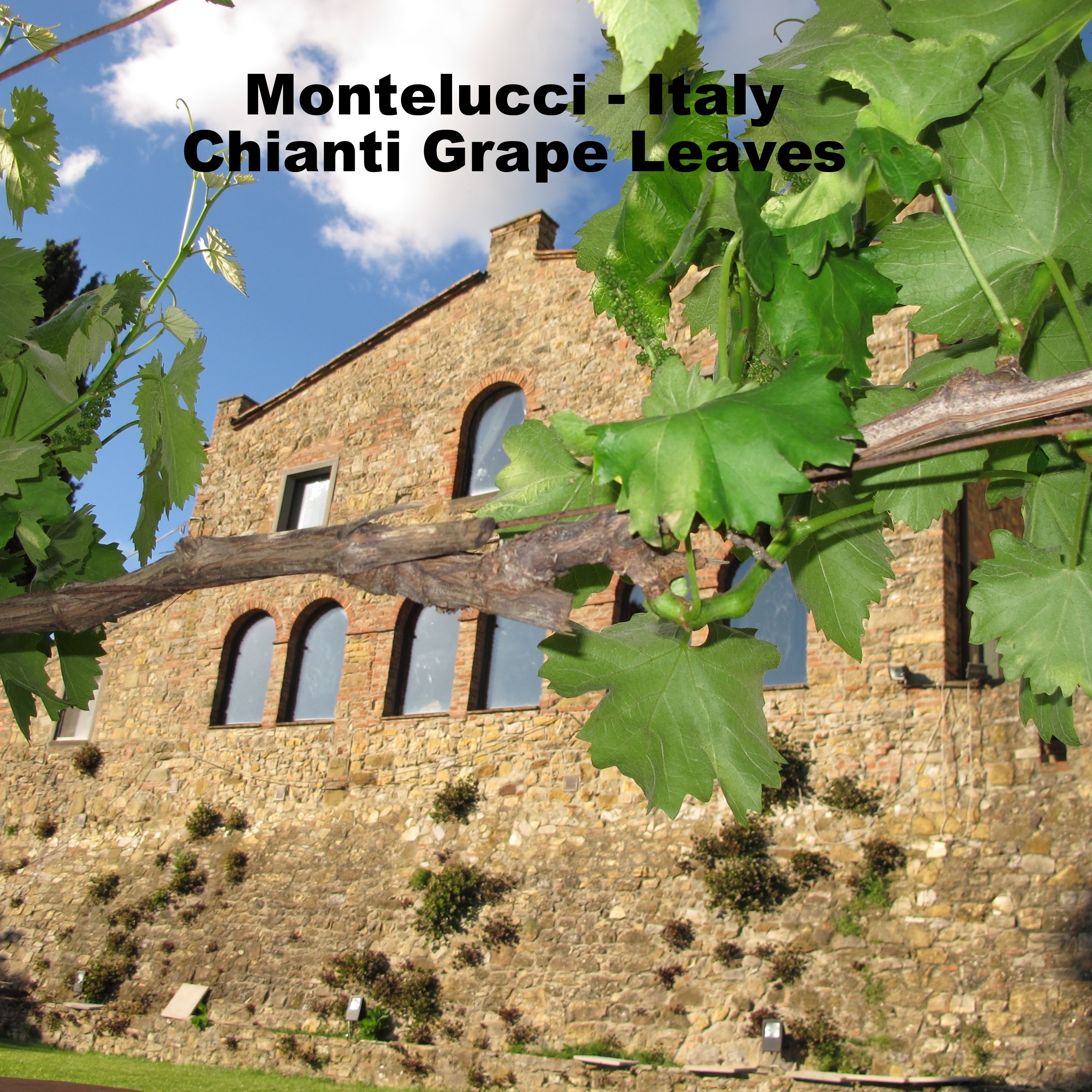 A stone building with arched windows under a blue sky with scattered clouds, surrounded by green grapevine leaves and a vine branch in the foreground.