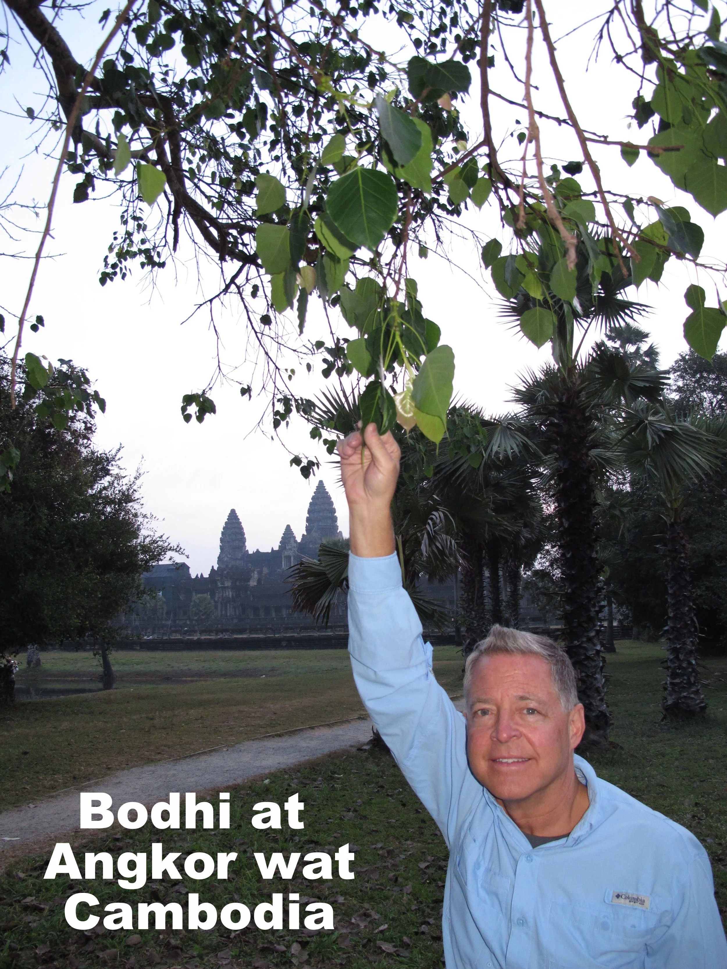 A man in a light blue shirt is holding a branch of a Bodhi tree. In the background, there is a temple with multiple spires, likely Angkor Wat in Cambodia. The sky is overcast.