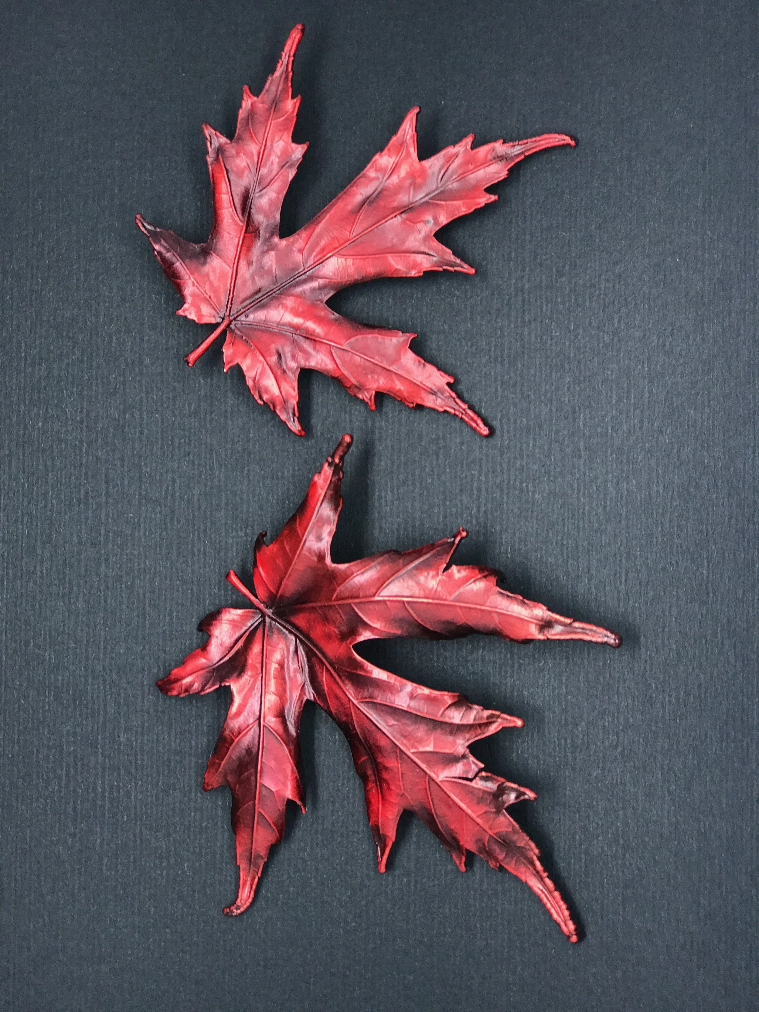 A collection of red maple leaves on a black background.