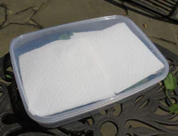 A large container filled with white granular material, possibly sugar or salt, placed outdoors on a metal surface.