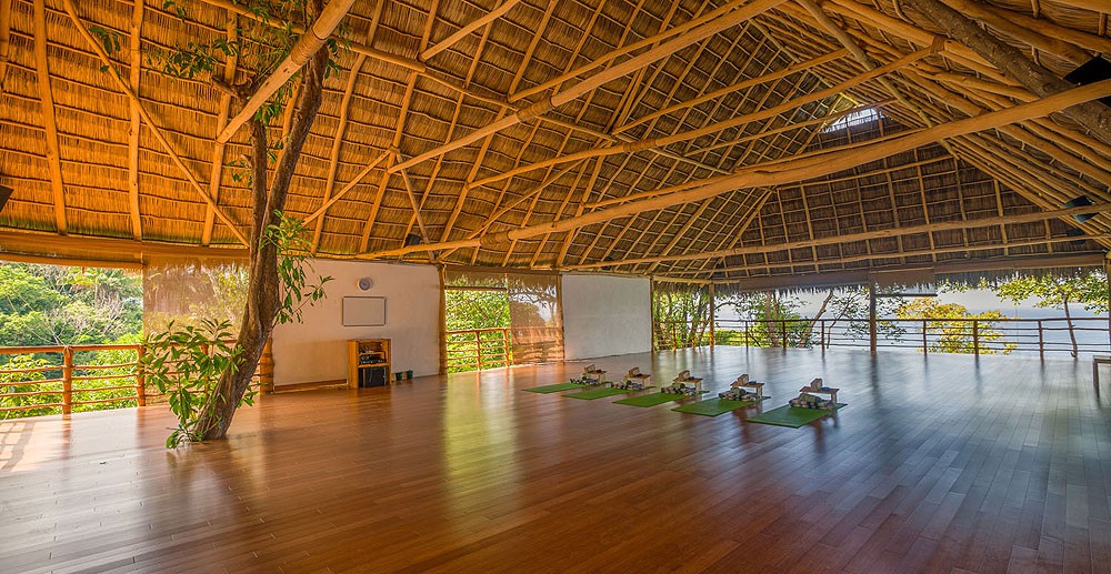 The Yoga Deck