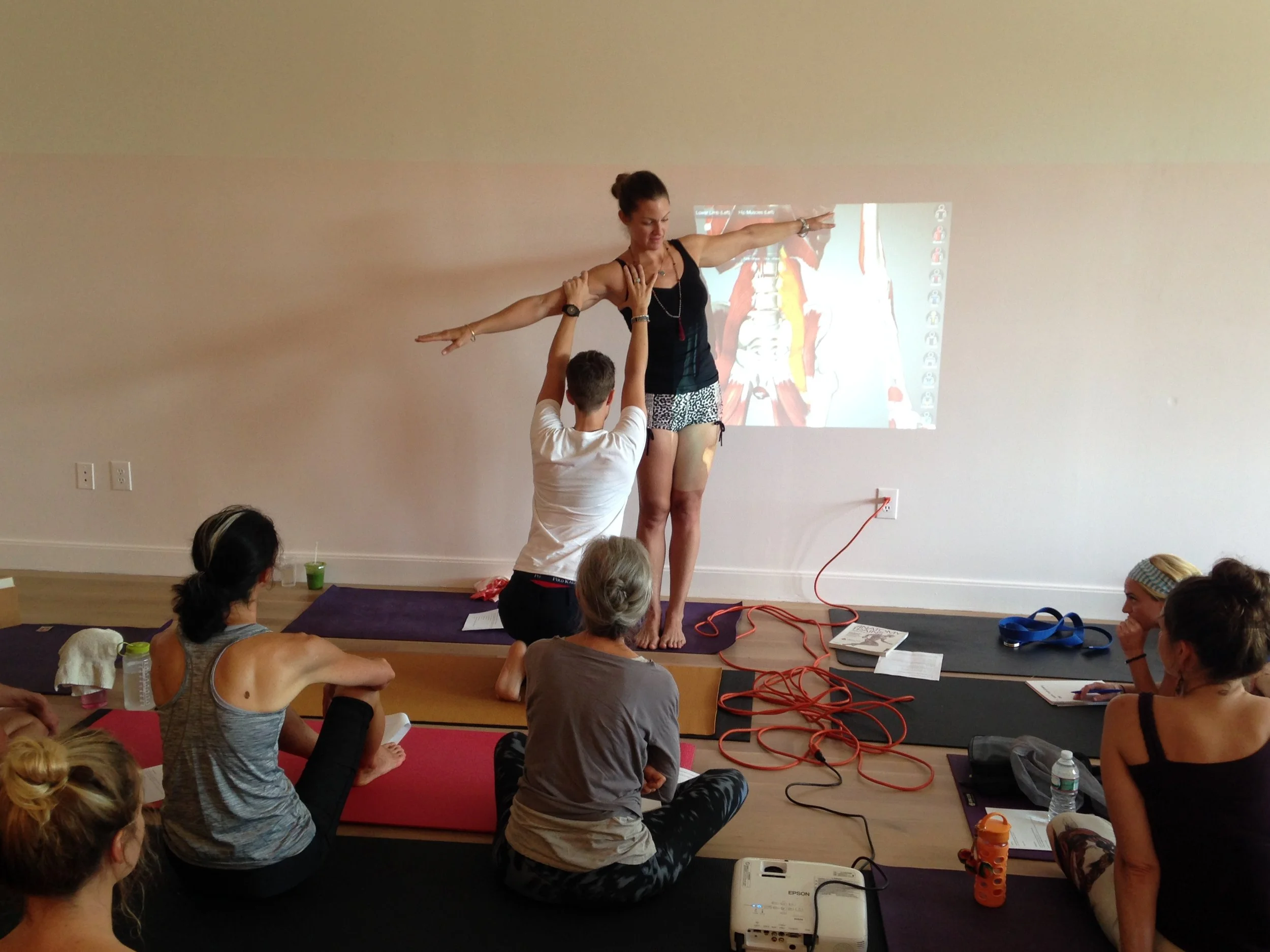 HOW THE PSOAS CAN TORQUE AND TILT THE PELVIS