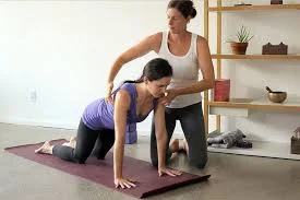 Hip Preservation & Theraband & Tensegrity Workshops!