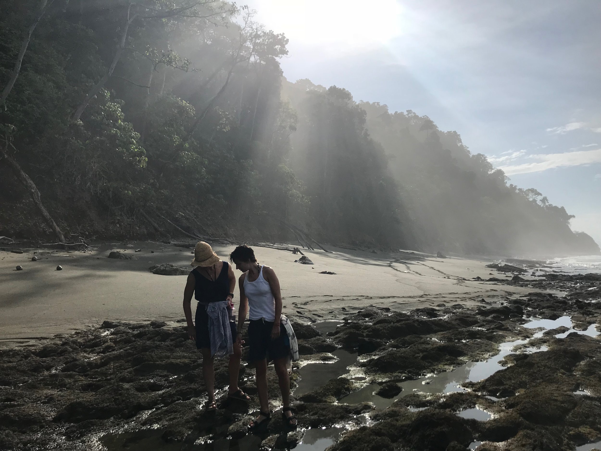 the hike to the tidal pools