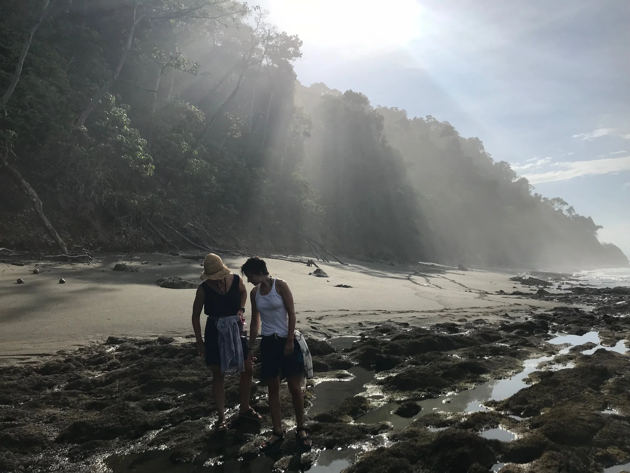 the hike to the tidal pools