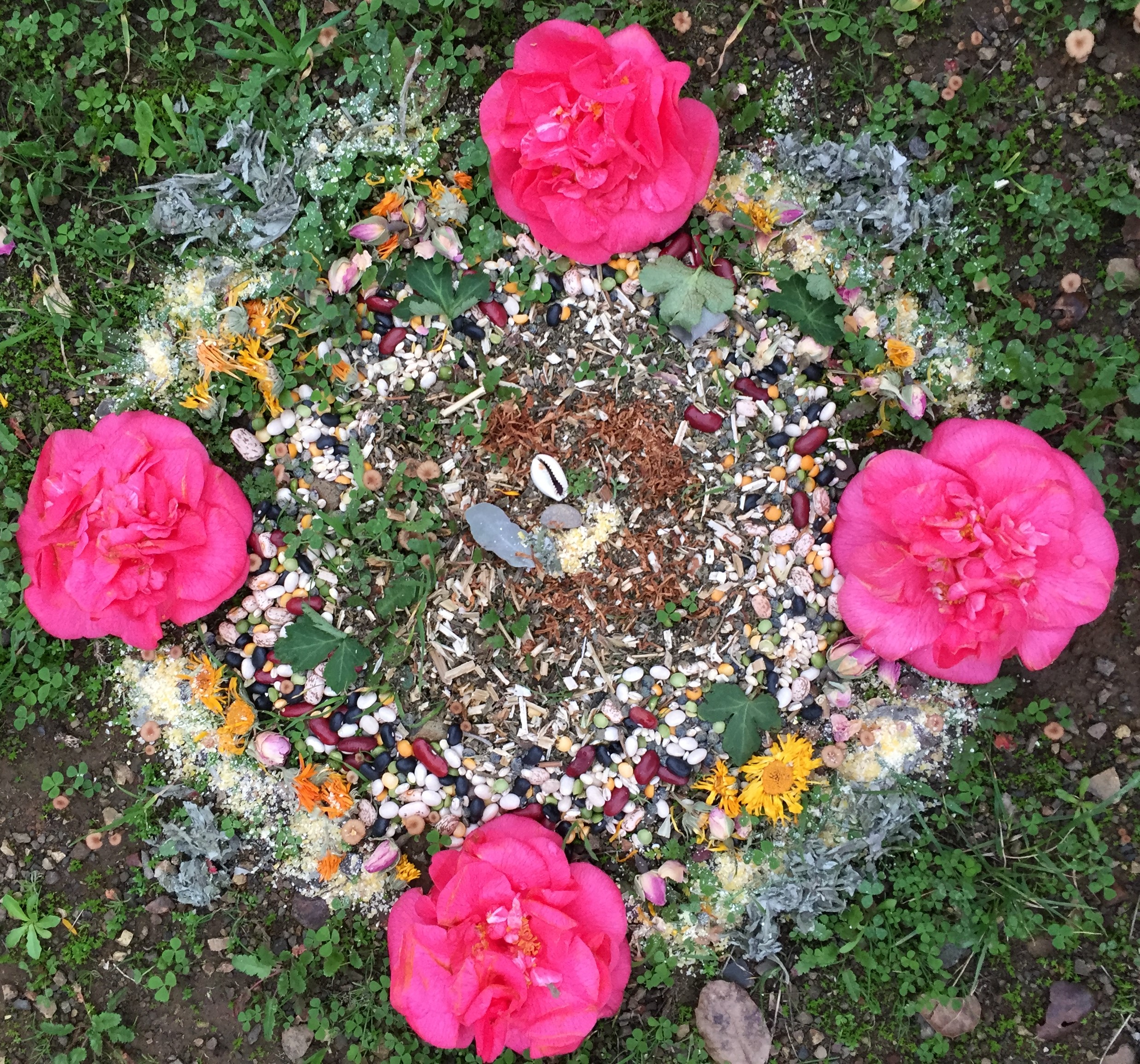offering.jpg