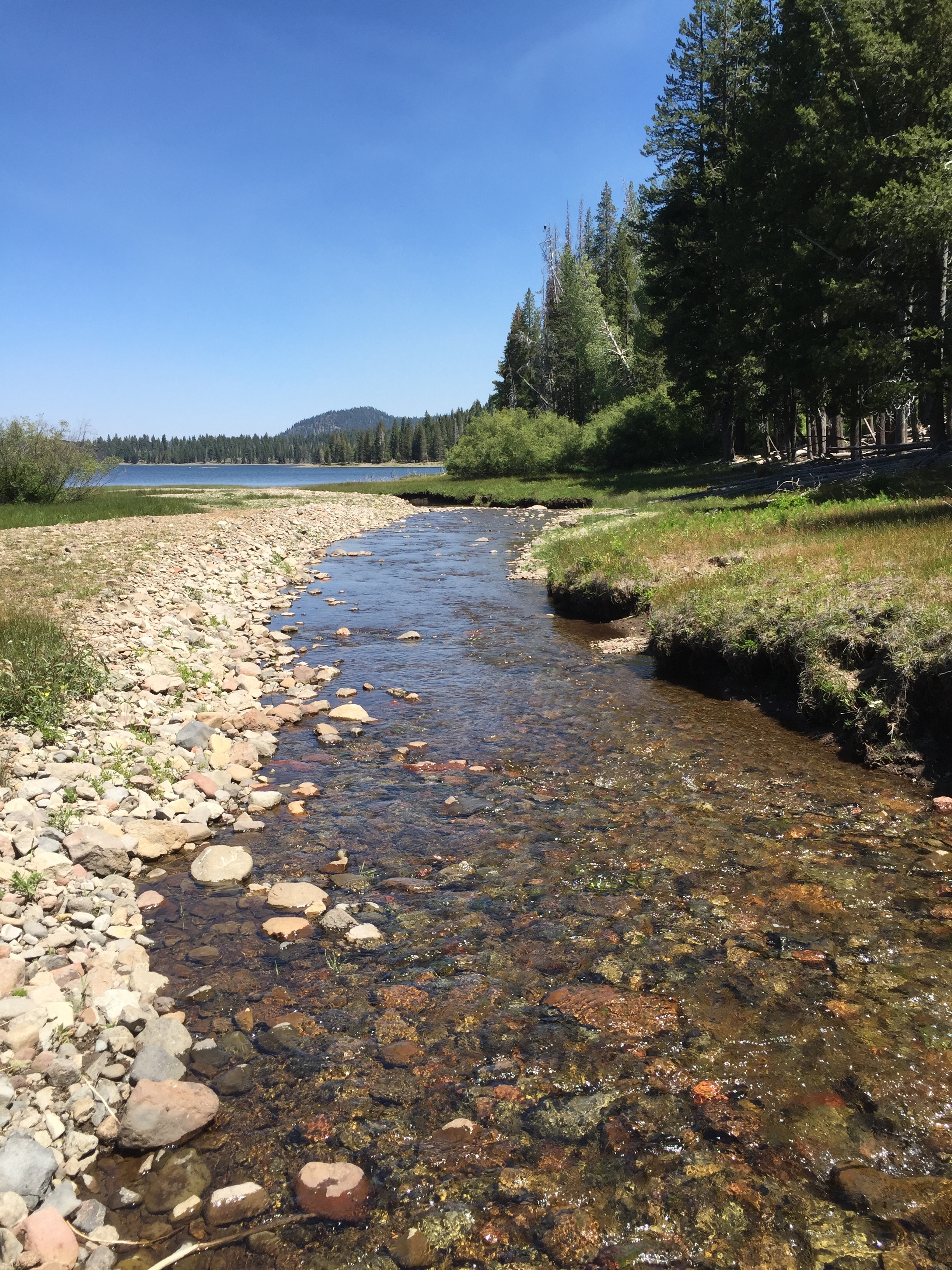 Lassen river.JPG