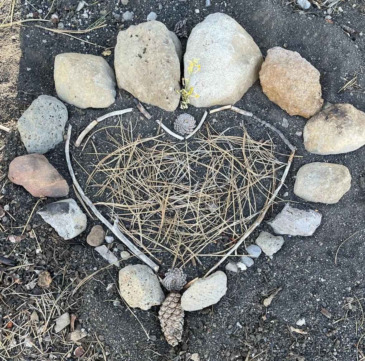 WESC 7 nature art .jpeg