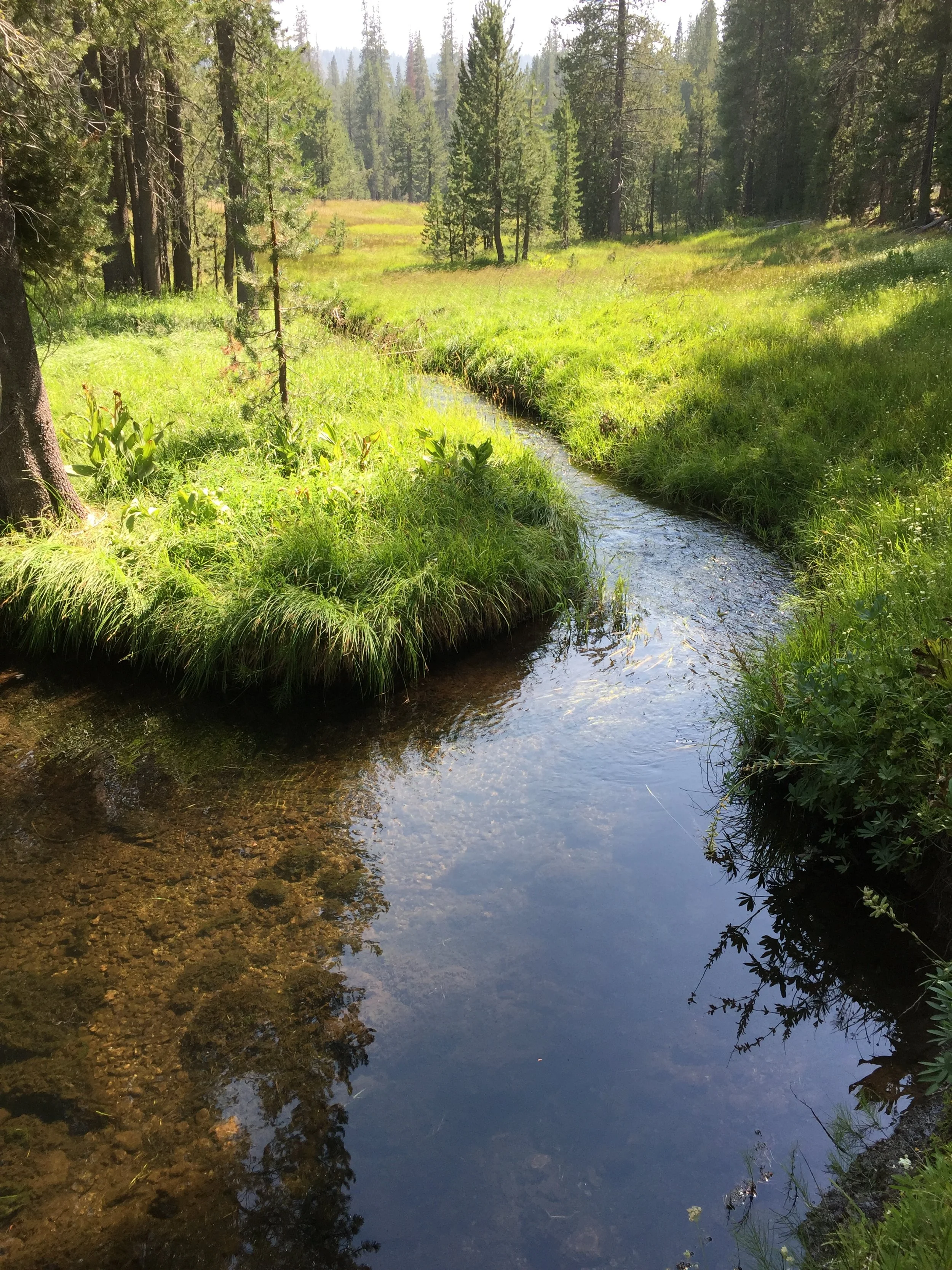 Lassen stream.JPG