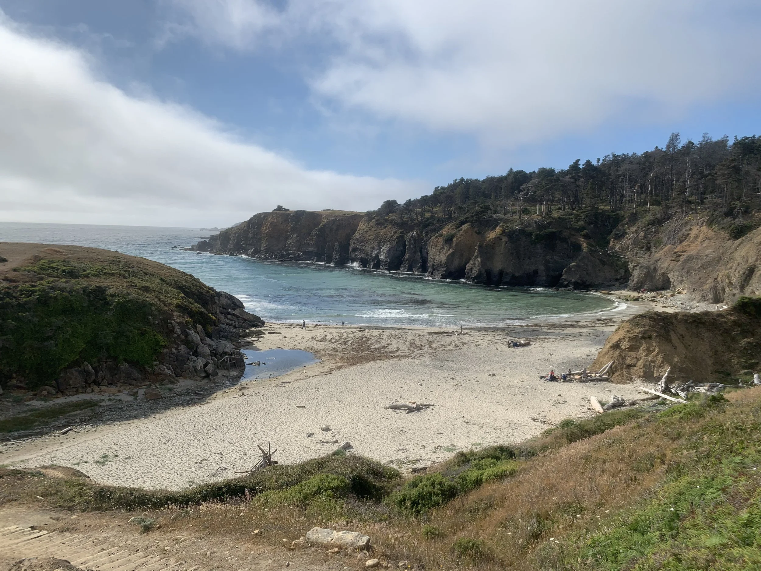 Salt Point beach .jpg