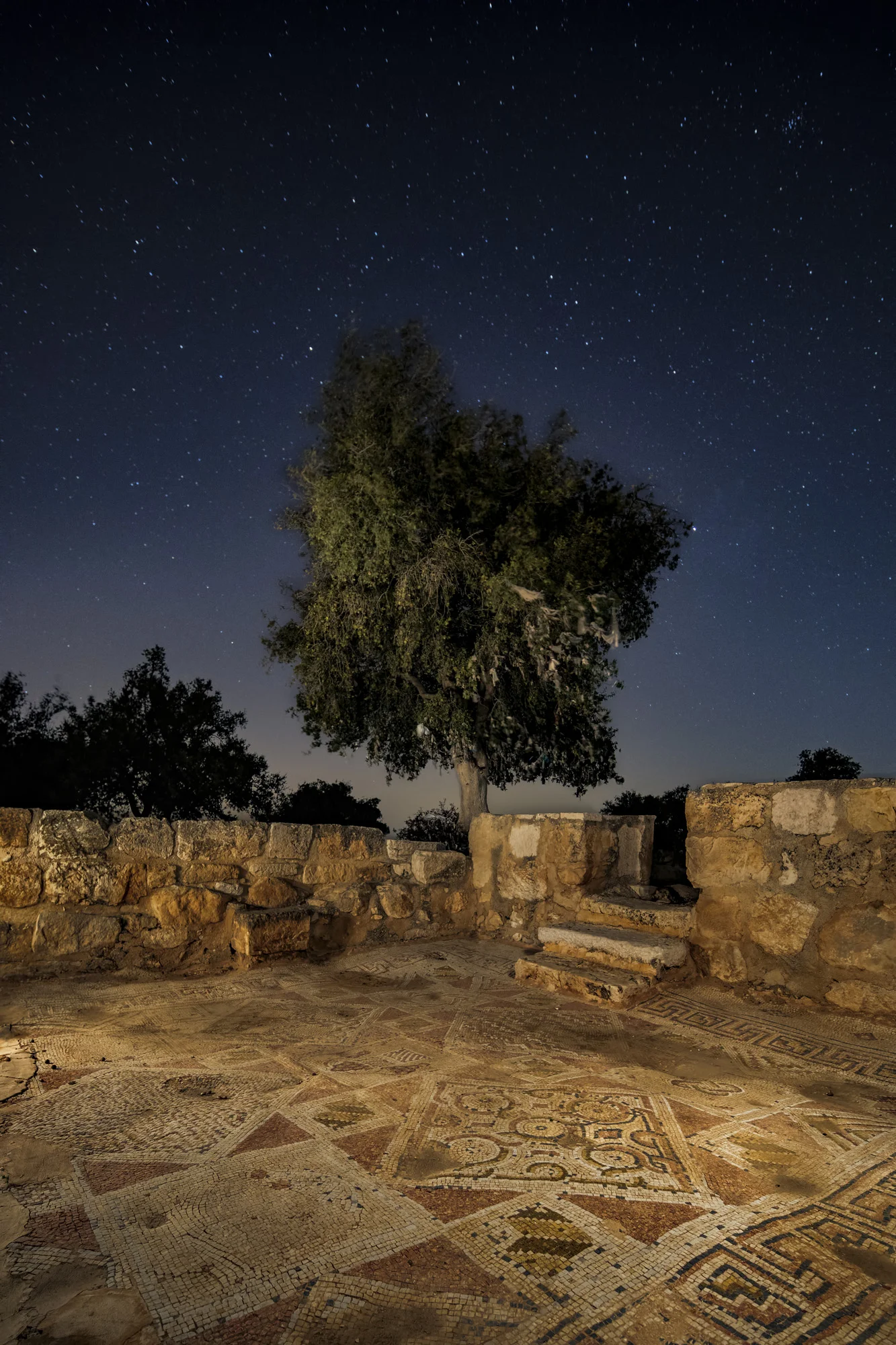 BTT_0052 Final CC.jpg