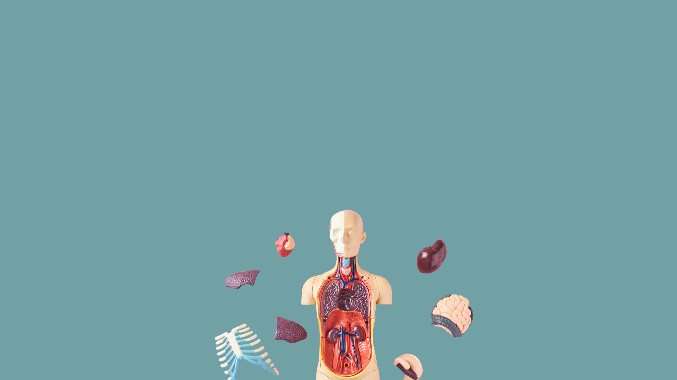 Untitled design (4).png