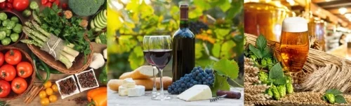 Taste of Dunedin 