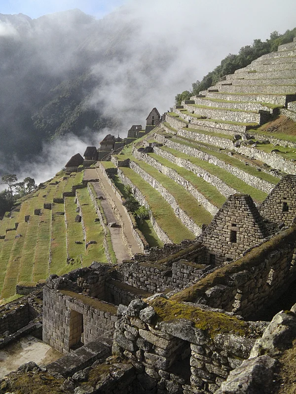 Central Terraces