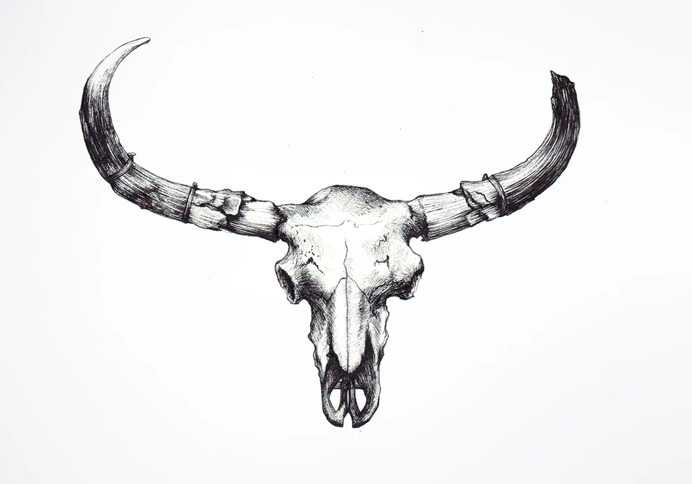 AxA_LONGHORN.jpg