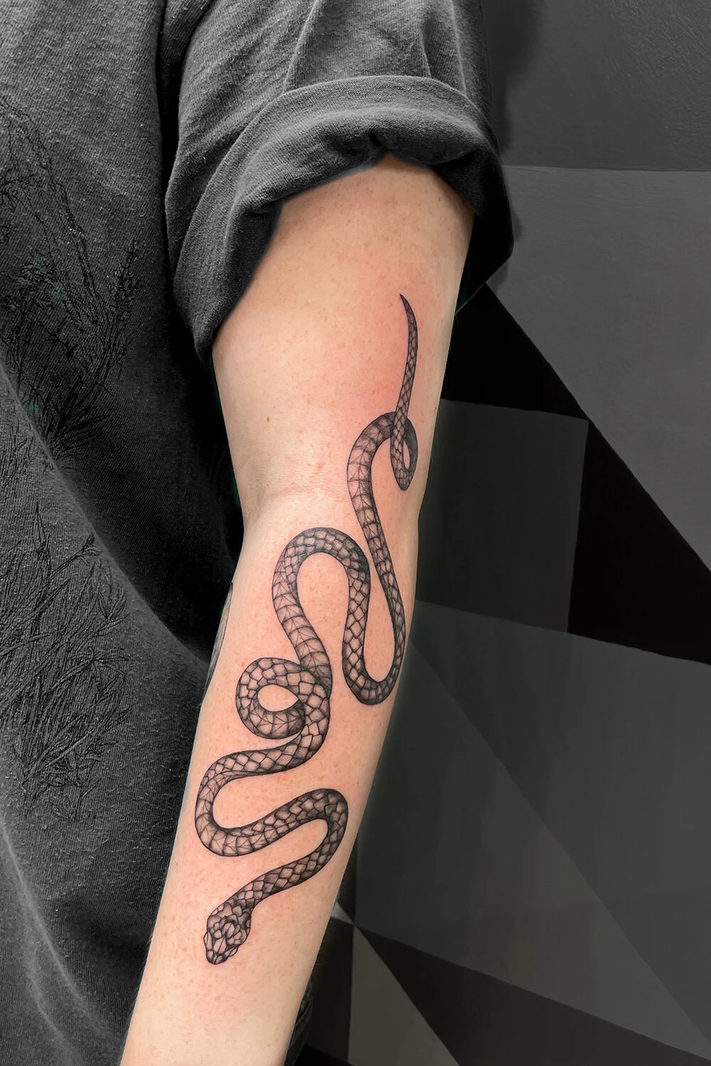 ATLAS + AXIS ILLUSTRATION