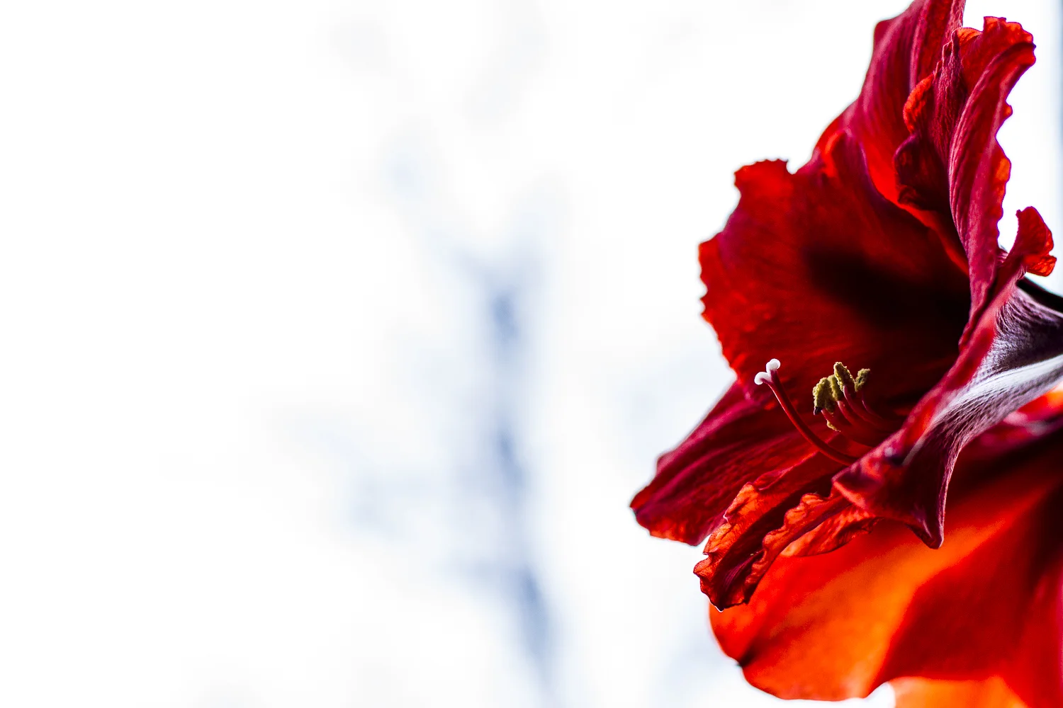 _MG_3217.jpg