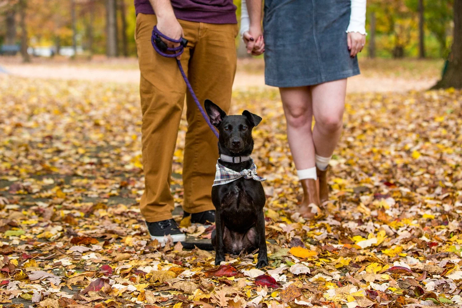 007-fall-family-photos-with-pets.JPG