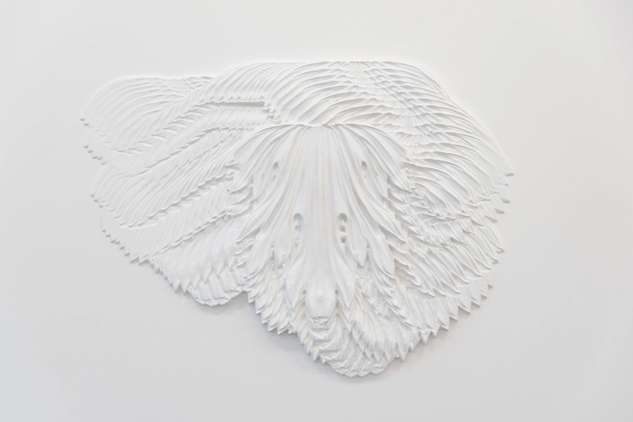 wiels_larisastar_004