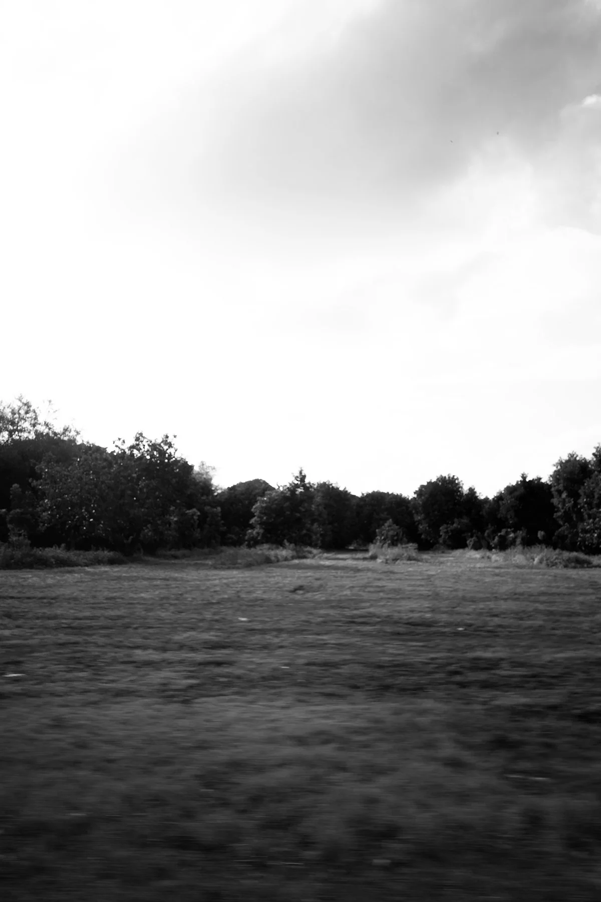 white4.jpg