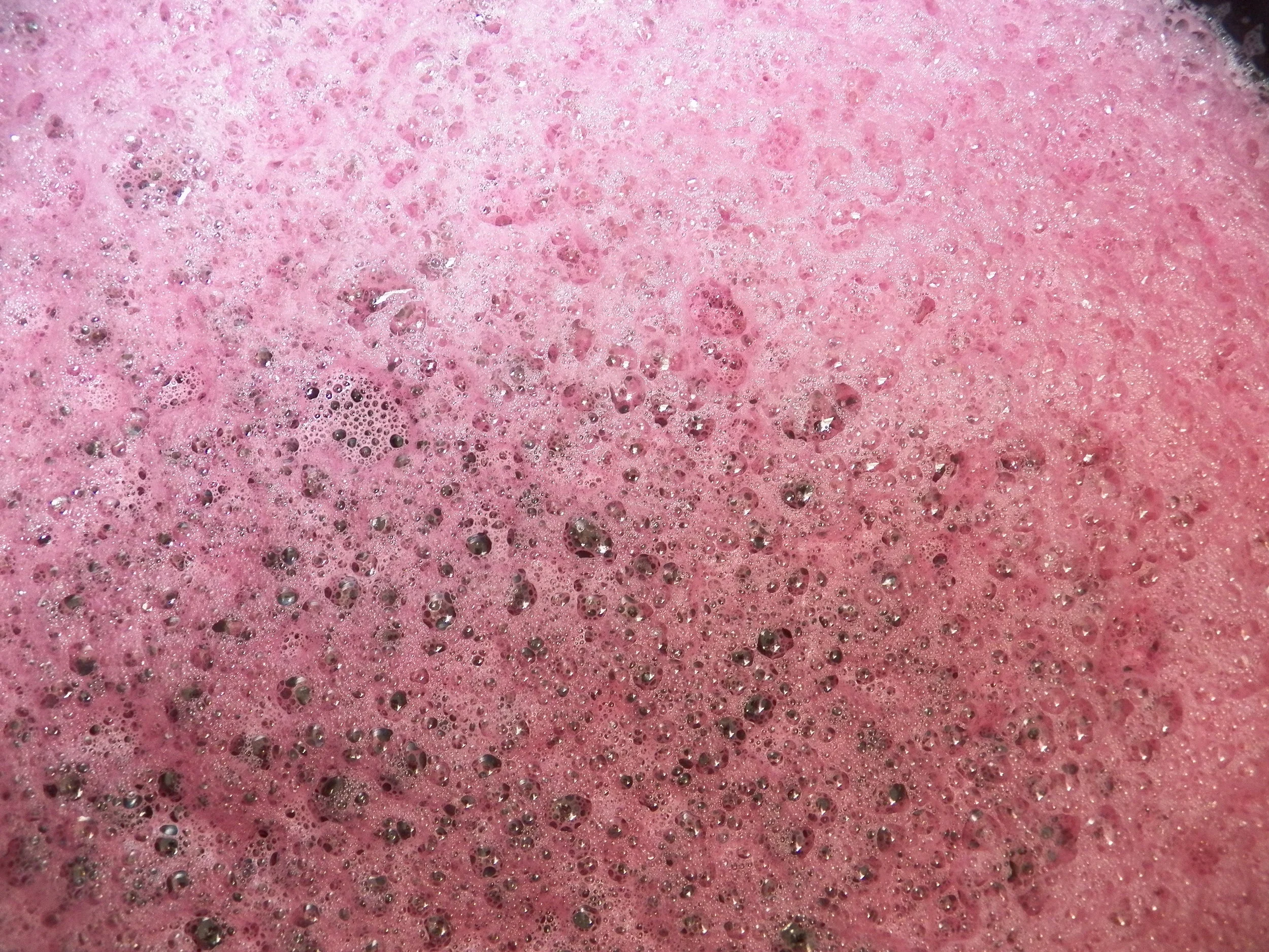 Wild yeast eating the sugar