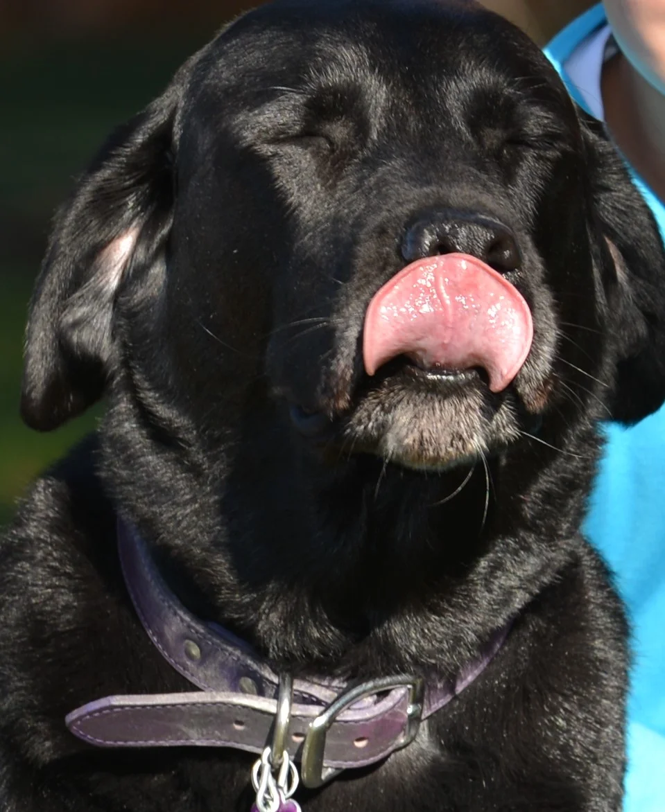 DSC_9491a - Copy.JPG