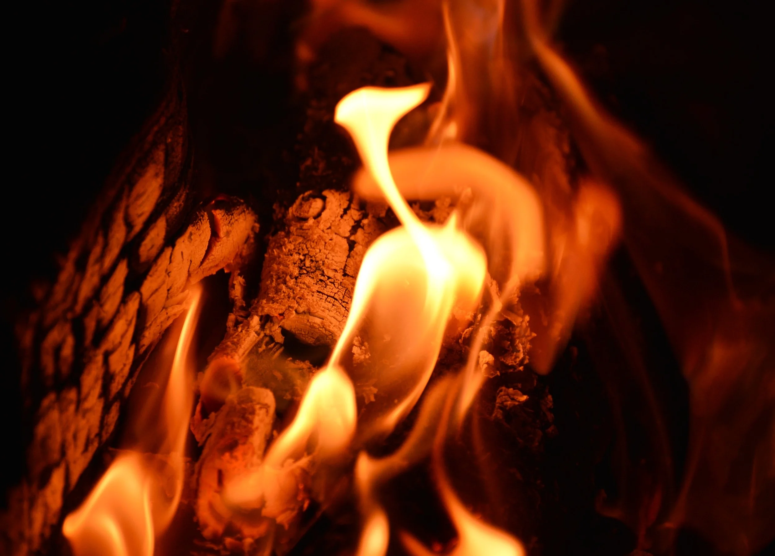 DSC_6311.JPG