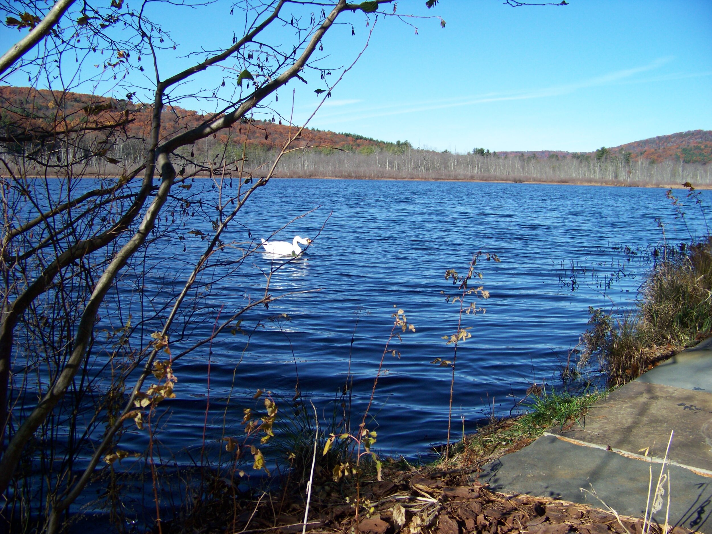 100_0133.JPG