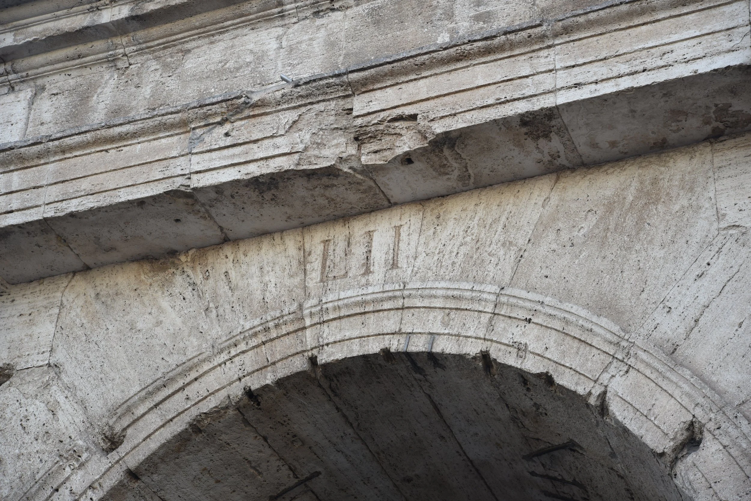 DSC_5921.JPG