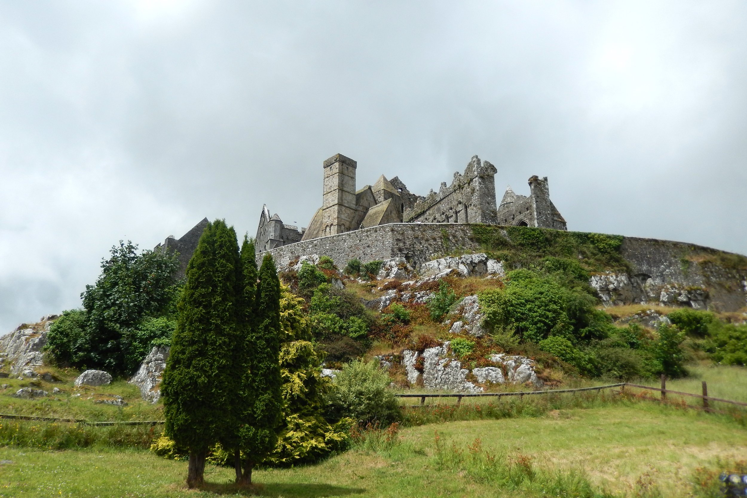 DSC_2656.JPG