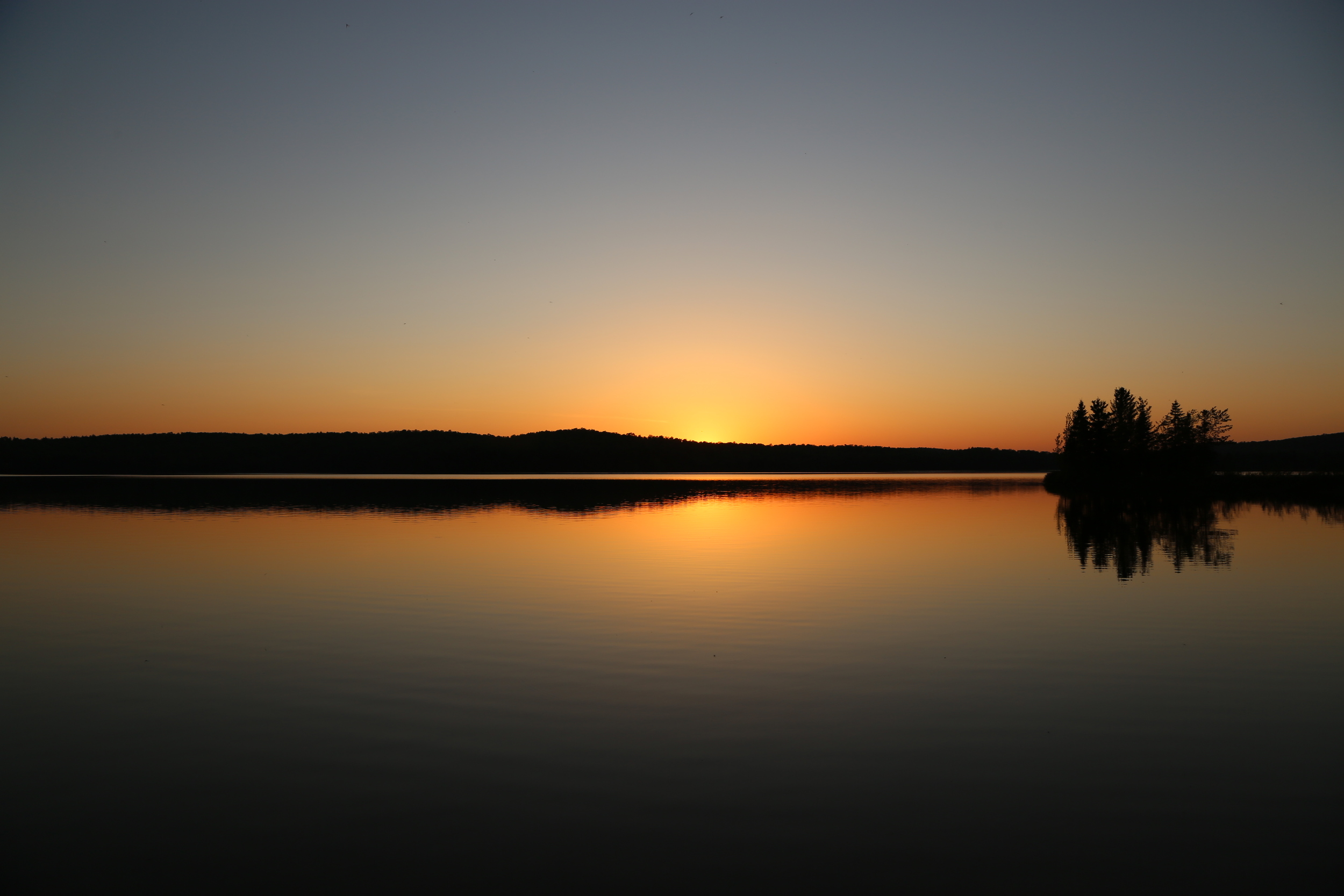1C0C6899.JPG