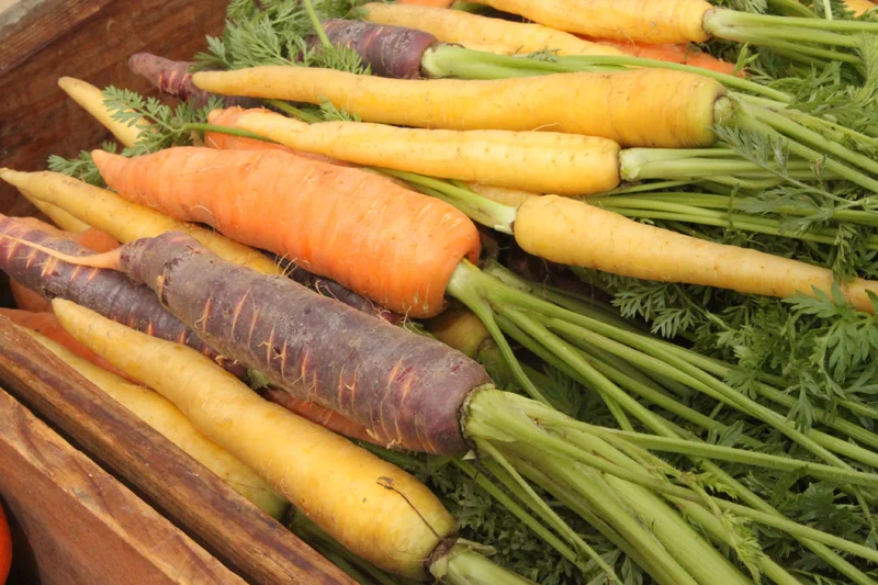 Carrots