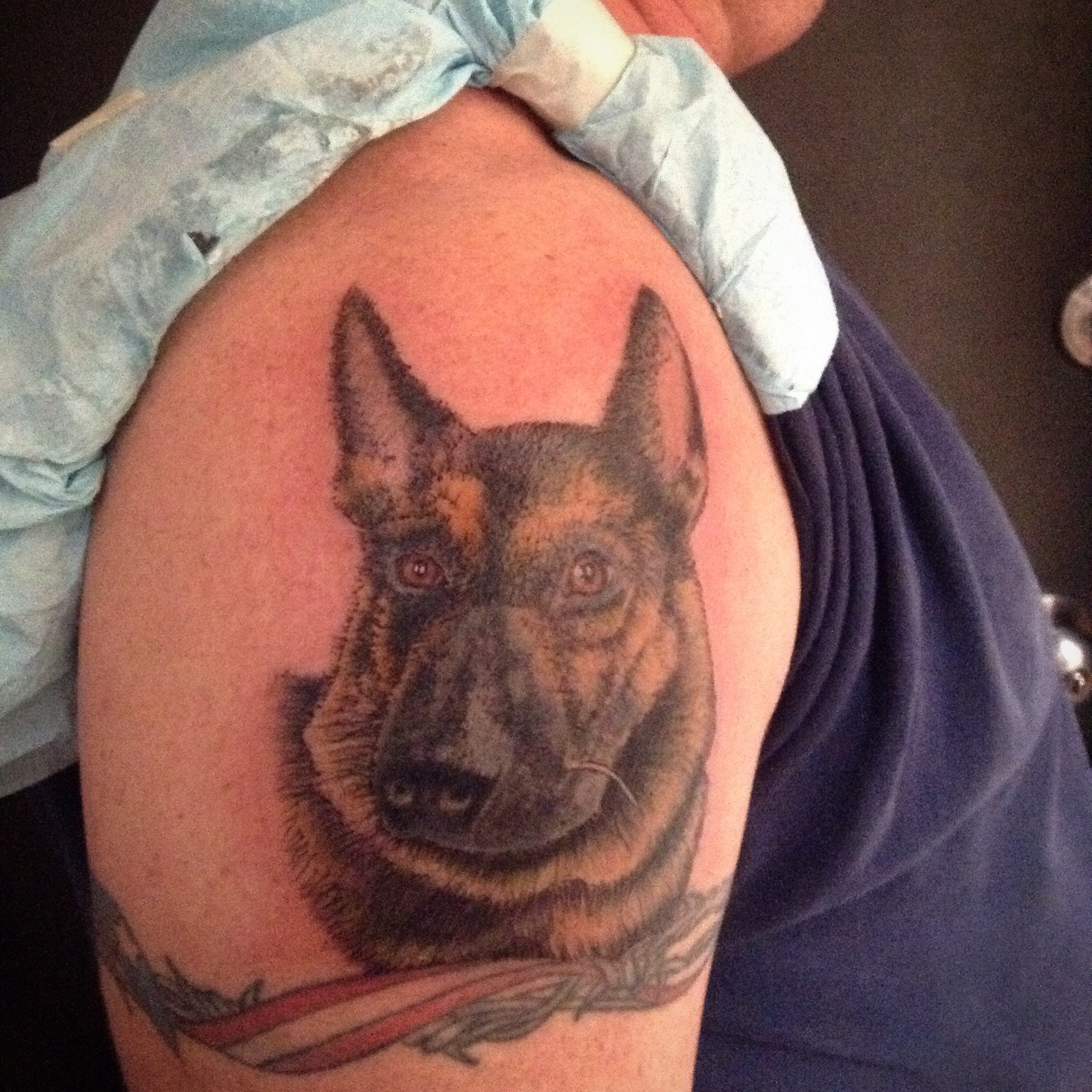 German Shepherd Country  Tattoo by Ash Higam Realism Tattoos  Facebook