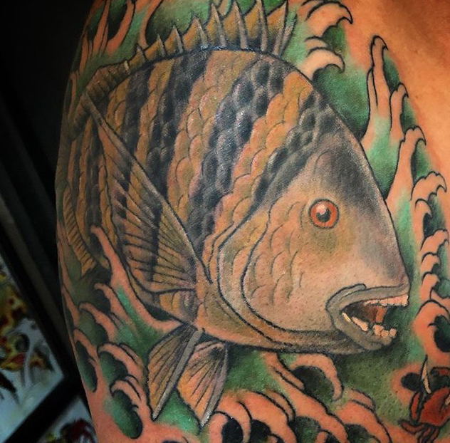 My husband just finished another part of his saltwater half sleeve rock  fish on top red drum more to come with this tatt  Tattoos Fish tattoos  Tattoo designs