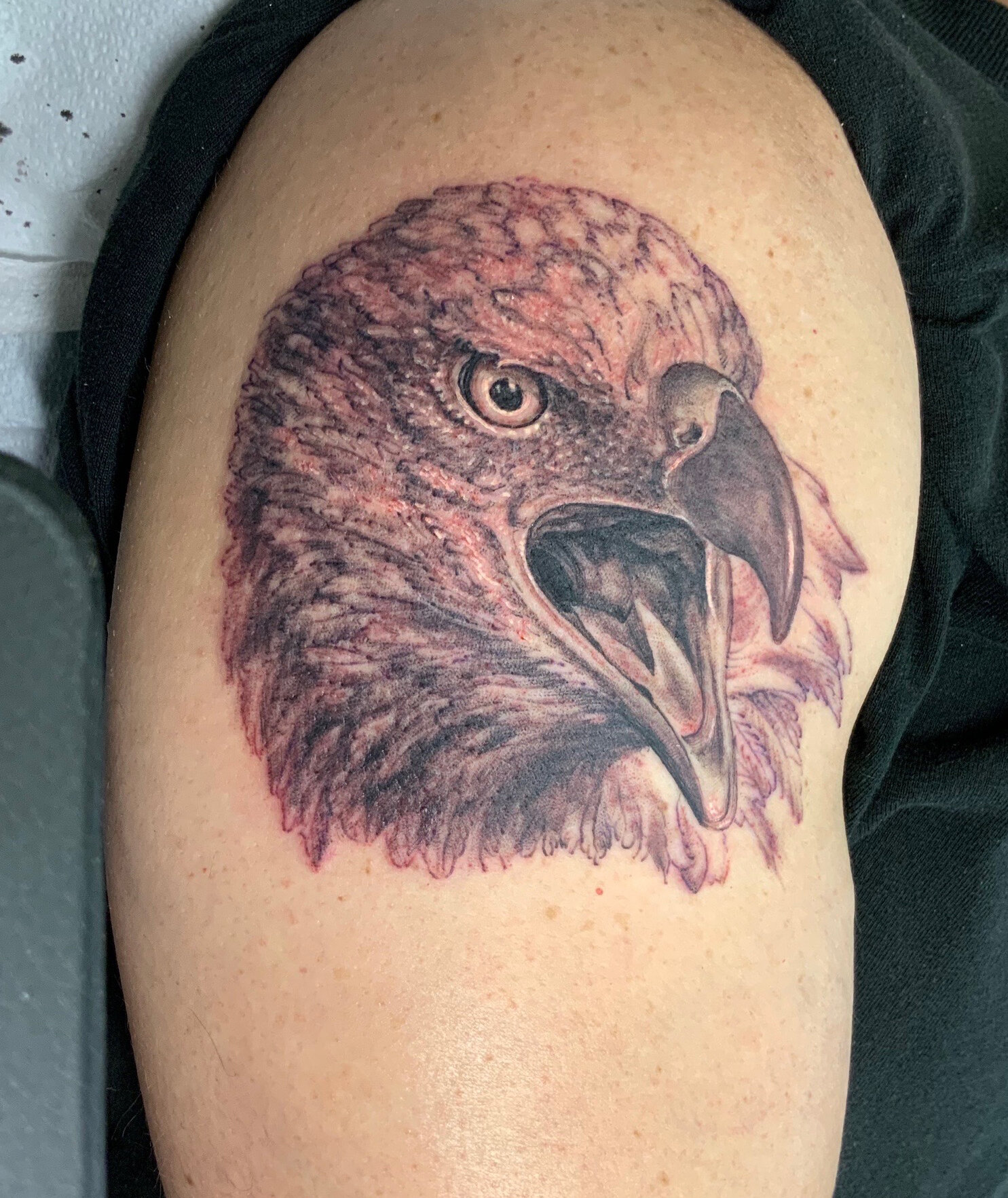 32 of the Best Eagle Head Tattoos Ever | PetPress | Eagle head tattoo, Eagle  tattoos, Eagle tattoo