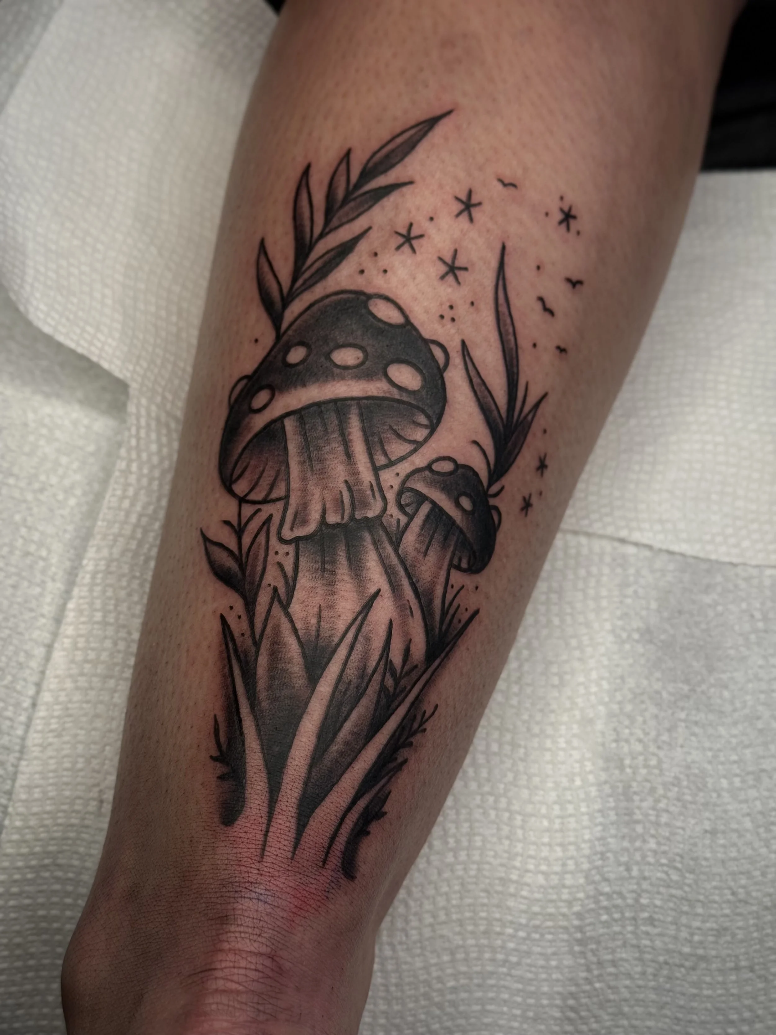 IMG_6716.jpeg