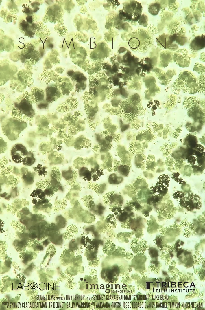 SYMBIONT 1.jpg