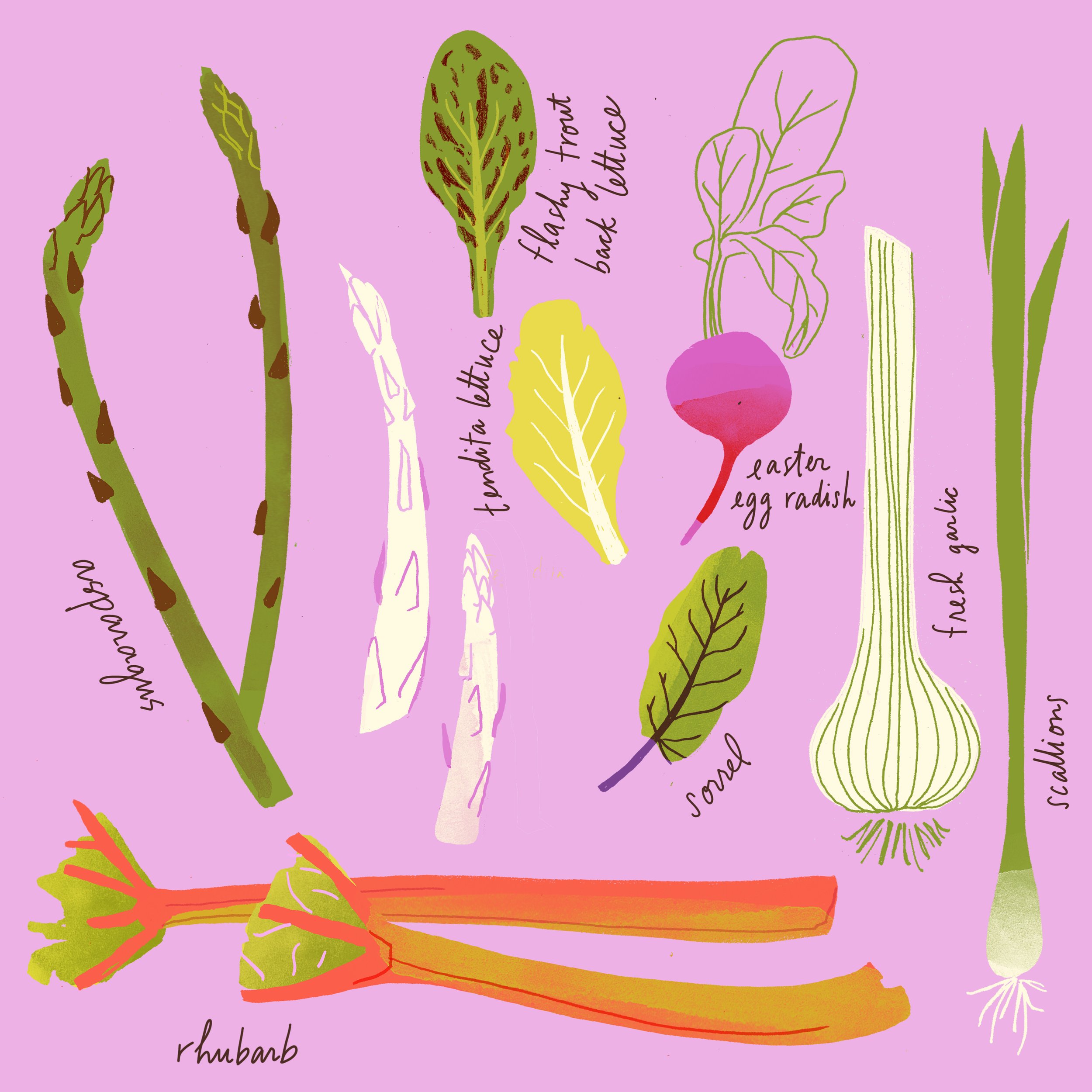 Spring Vegetables