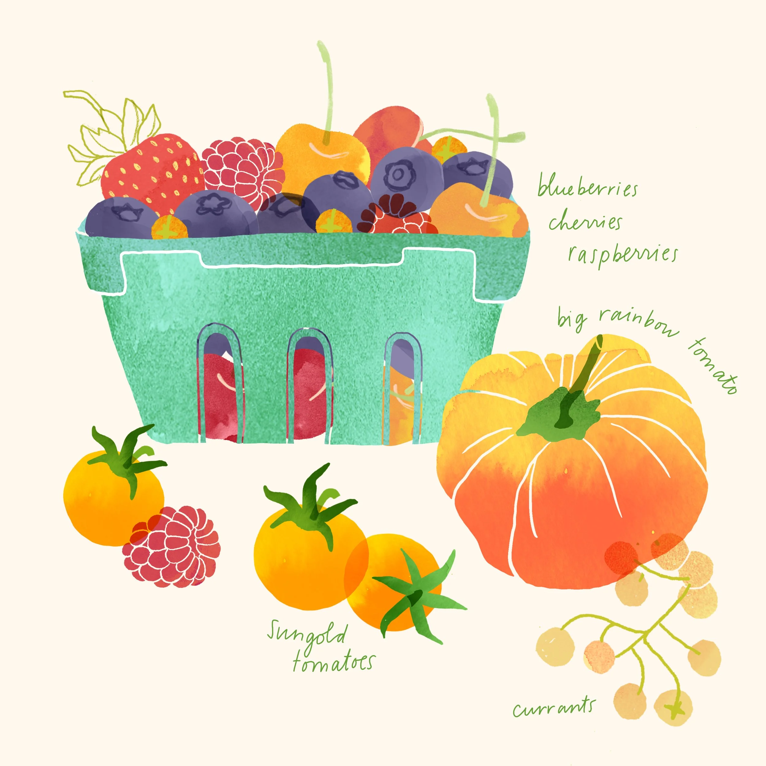Berries Illustration-Aly Miller.jpg