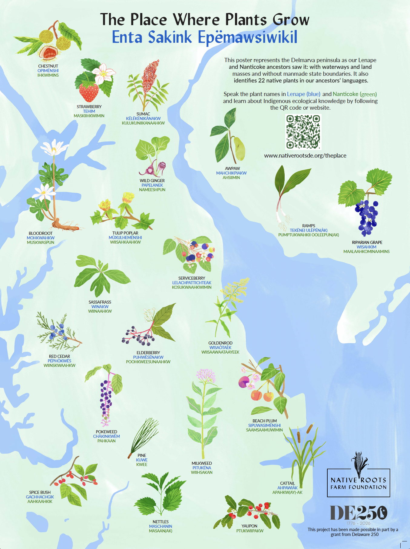 Native Plants Map by Aly Miller.png