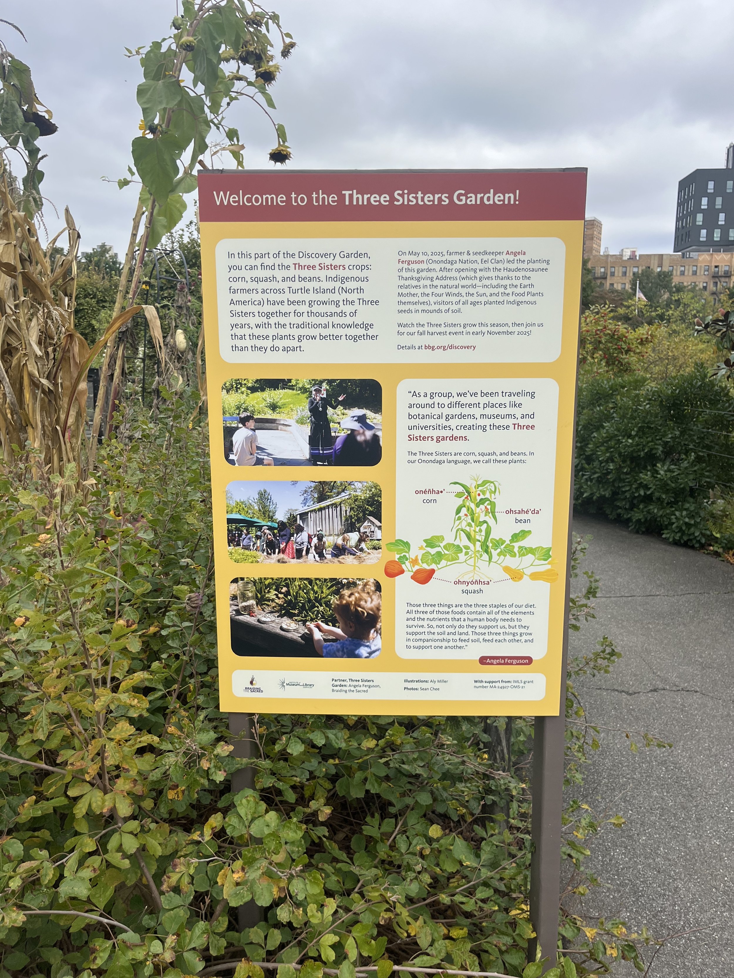 3 Sisters Garden Sign for BBG by Aly Miller.jpg